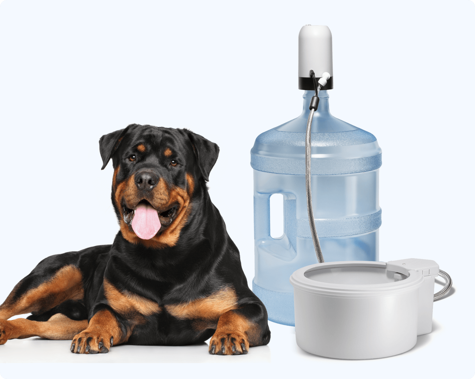 Self-Cleaning and Refilling Dog & Cat Water Bowl 9