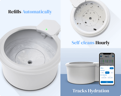 Always Full® Pet Water Bowl