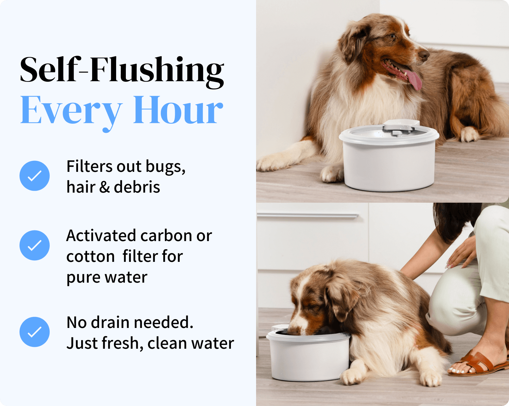 Self-Cleaning and Refilling Dog & Cat Water Bowl 9