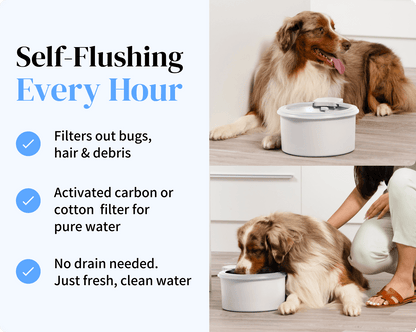 Always Full® Pet Water Bowl