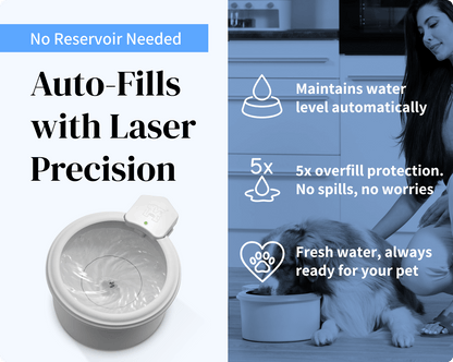 Always Full® Pet Water Bowl