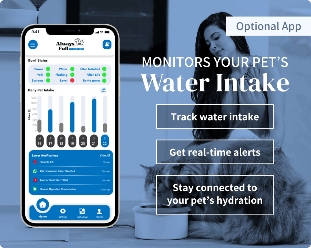 Always Full® Pet Water Bowl – Always Full Pet Water Bowl