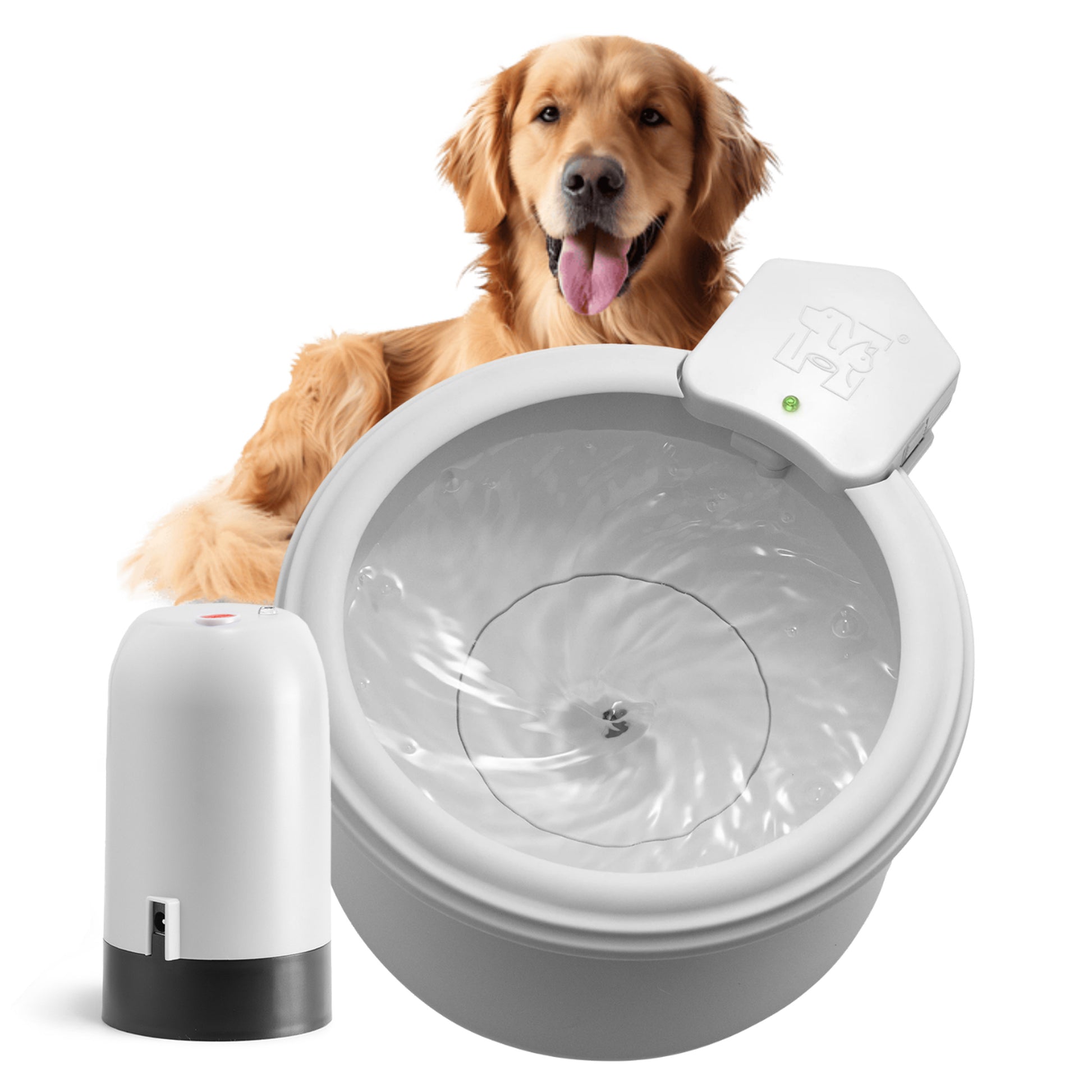 Always Full® Pet Water Bowl – Always Full Pet Water Bowl