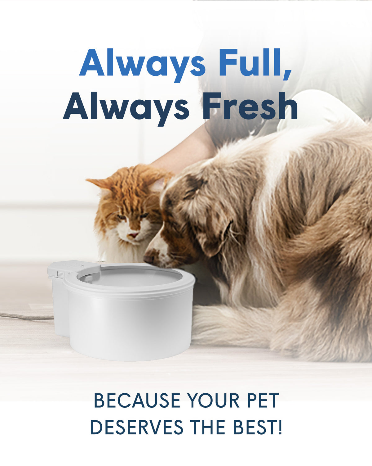 7" Pet Water Bowl
