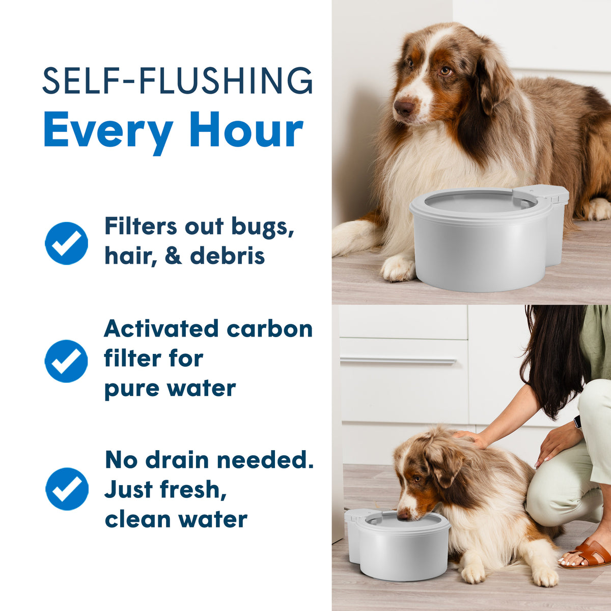 7" Pet Water Bowl