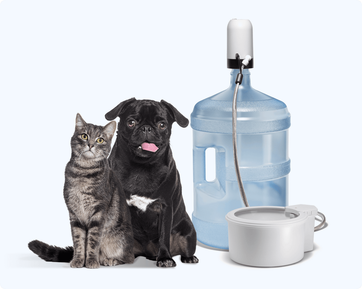 Always Full® Pet Water Bowl – Always Full Pet Water Bowl